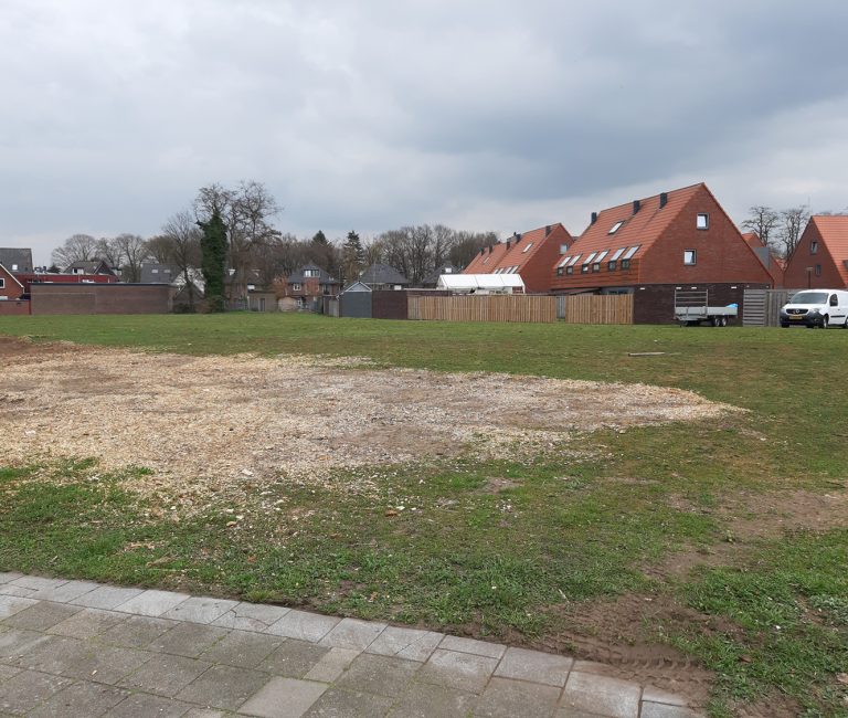 20190328_115529_klein