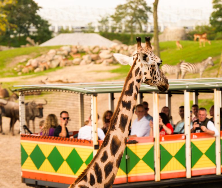 EE Nikkels Wildlands 28-09-2025-133