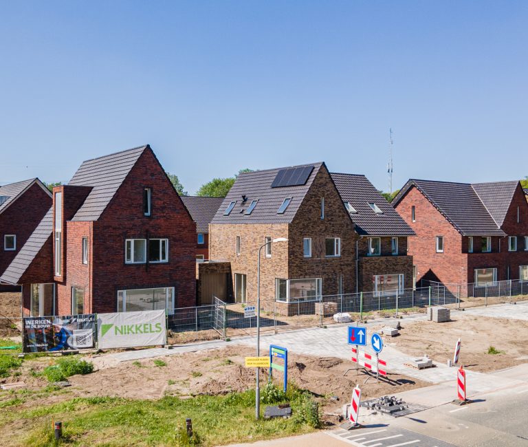 Nikkels_HattemhetVeen-2022-06-22-1