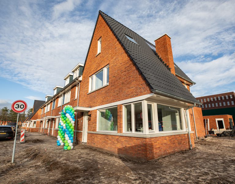 Nikkels_UB_veldM_laatstewoning-2023-01-16