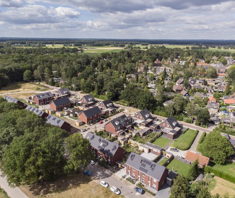 Nikkels_heideveldharfsen_20190704-2